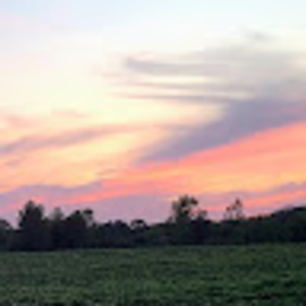 Meet your Posher, Lydia